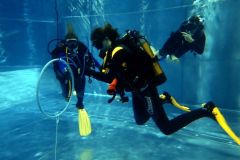 B2 Poolausbildung