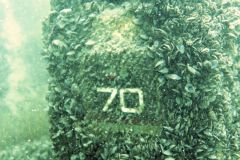 Dive_Chill_Grill_2024-4